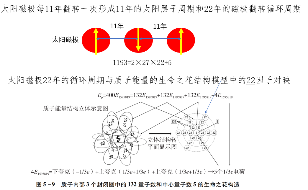 质子能量的生命之花模型中的22因子与太阳的22年磁极翻转循环周期对映